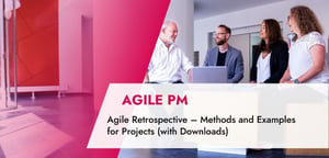 Agile Retrospective – TPG blog article with downloads