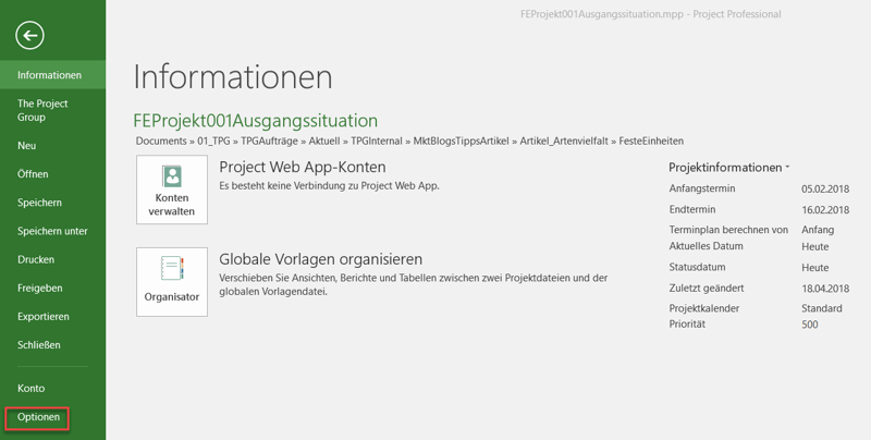 Feste Einheiten MS Project - Optionseinstellungen
