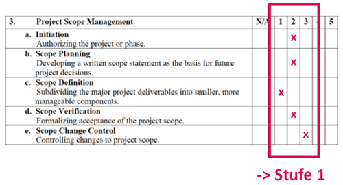 Beispielhafter Fragebogen zu Reifegrad im Projektmanagement