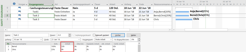 MS Project Leistungssteuerung - Ergebnis Zuweisung 2
