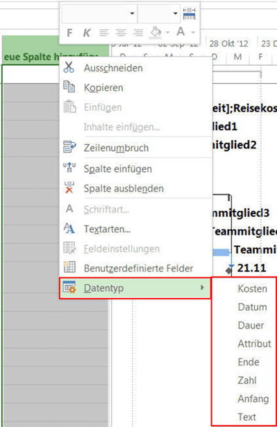 MS Project Felder und Ansichten - Datentyp für Spalten auswählen