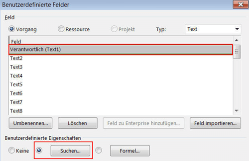 MS Project Felder und Ansichten - Nachschlagetabelle erstellen