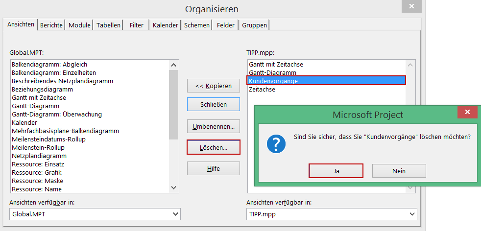 Löschen benutzerdefinierter Objekt - MS Project Organisator