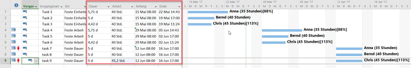 Berechnungsergebnisse - MS Project Kalender-Optionen