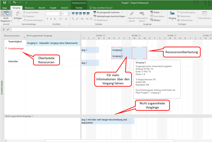 MS Project Teamplaner - Ansicht in Project Professional
