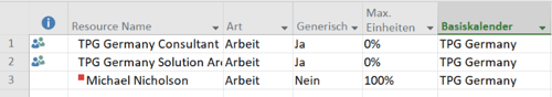 MS Project Datumsformat