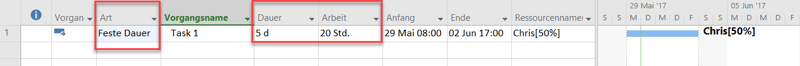 Planungsoptionen in MS Project