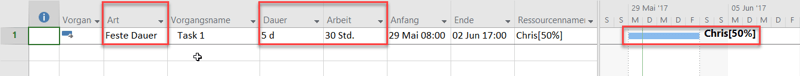 Planungsoptionen in MS Project