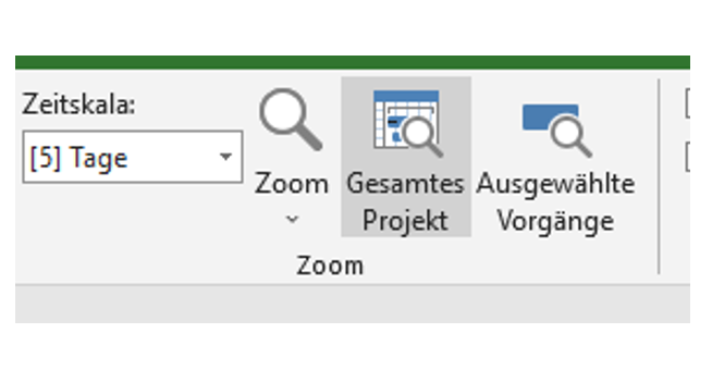 Projektpläne drucken Microsoft Project