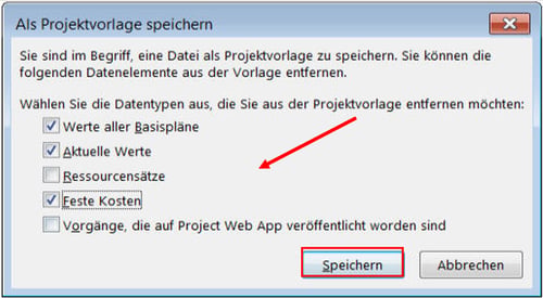 MS Project Vorlage erstellen - Datentypen auswählen