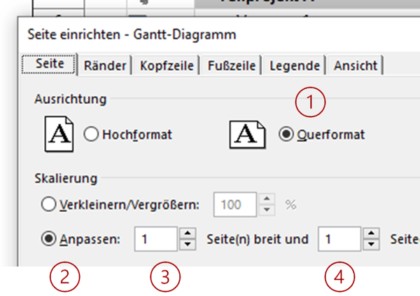 Projektpläne drucken Microsoft Project