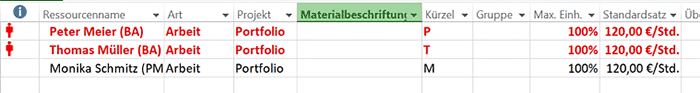 MS Project Multiprojektmanagement ohne Project Server - Anlage der Ressourcen