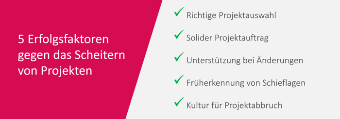 Warum scheitern Projekte - Erfolgsfaktoren gegen Scheitern von Projekten