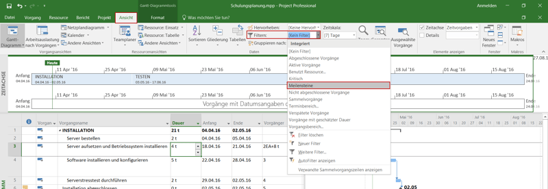 Mehrfache Timeline in Project - Meilensteinfilter 