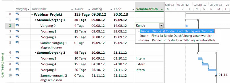 MS Project Vorgangsattribute - benutzerdefinierte Ansicht
