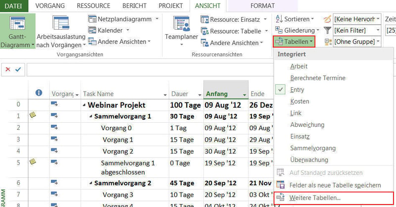 MS Project Neue Spalte hinzufügen - Tabellen auswählen