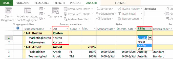 MS Project Kostenplanung - Anlage der Kosten