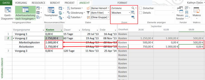 MS Project Kostenplanung - Gesamtkosten darstellen